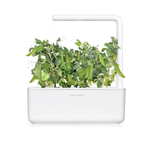 Click and Grow Smart Garden Refill 3-pack - Dwarf Pea